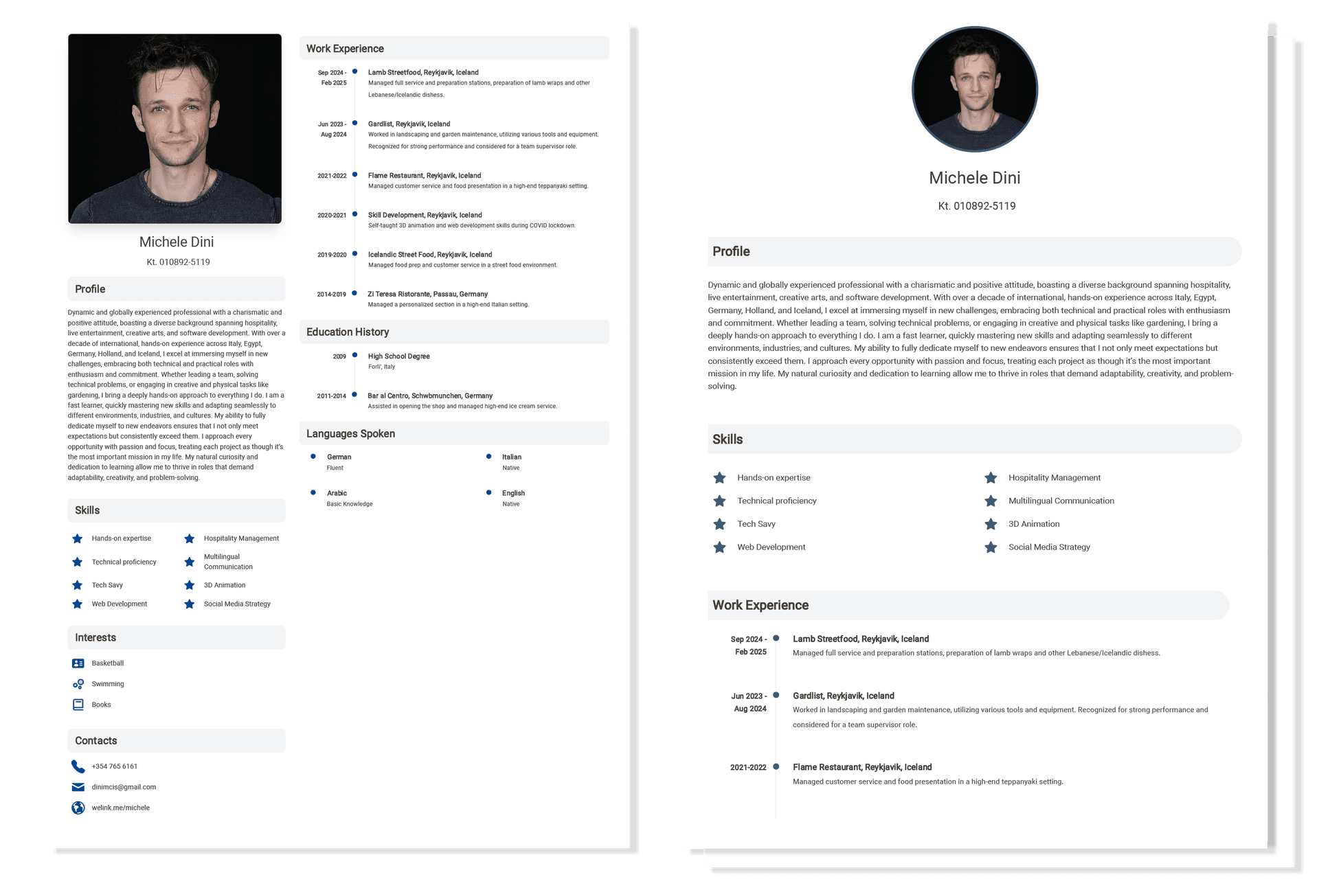 Professional CV website without watermark